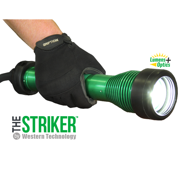 Thestriker Lh Product Sq Web